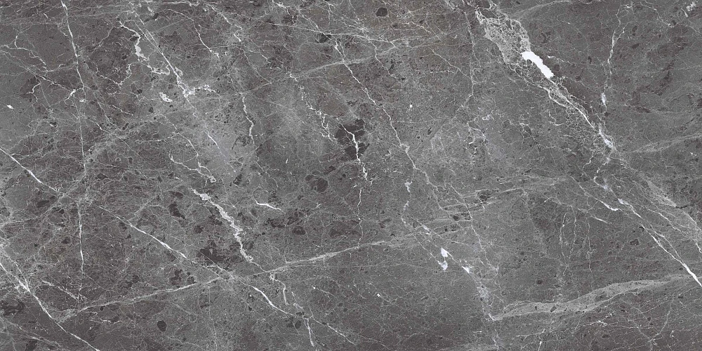 Керамогранит Primavera Ardesia Grafito Polished 60x120 см (PR208)